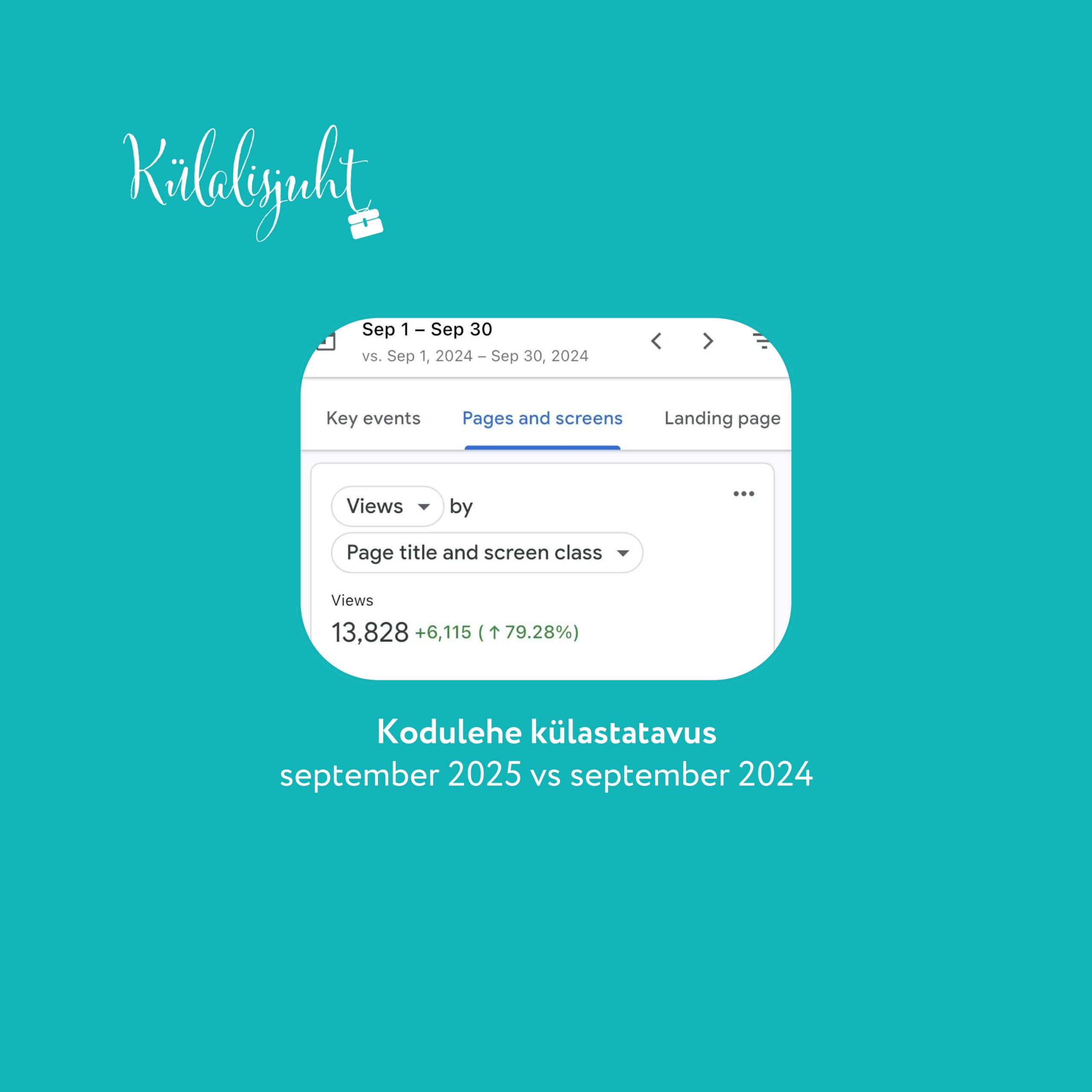 digiturundus_külalisjuht_sotsiaalmeedia_projektijuht_turundus_turundusstrateegia_sotsiaalmeediahaldus